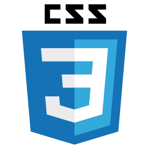 css icon